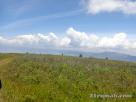 Dijual Tanah Di Pinggir Danau Toba IDRumah