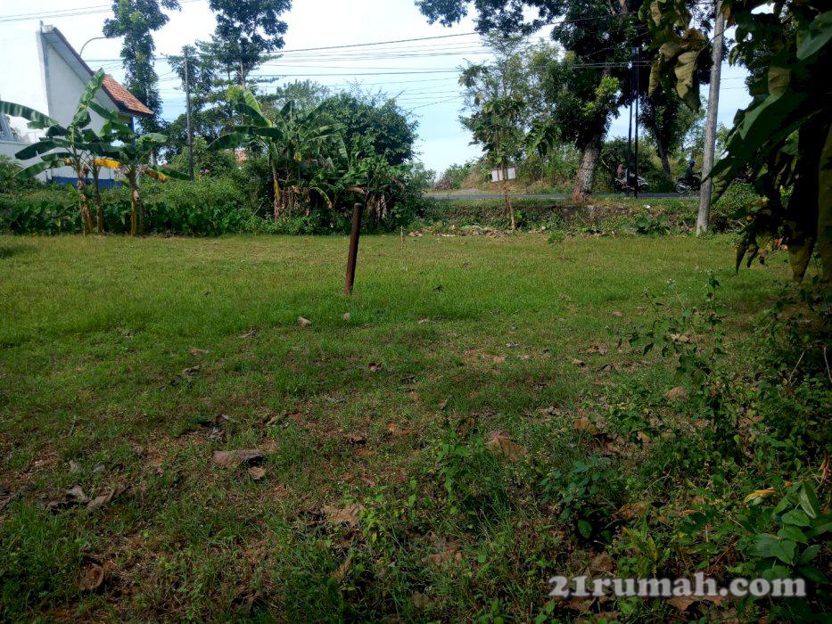 Dijual Tanah Pinggir Jalan Raya Madura Idrumah