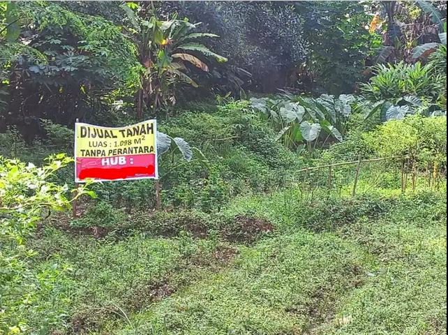 Dijual Tanah Kavling Cileungsi Desa Gandoang Idrumah