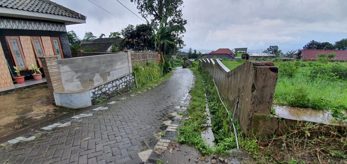 Dijual Tanah Murah Lokasi Istimewa Berada Di Lingkungan Padat