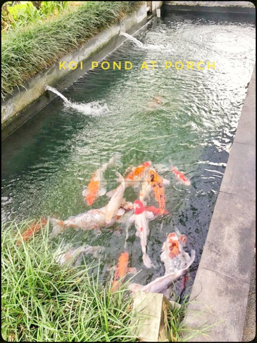 Villa Cantik Best View BEST PRICE Furnish Dago Pakar Bandung Jabar