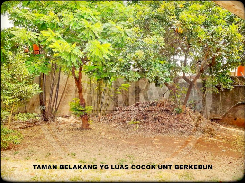 Dijual Rumah Dengan Tanah Yg luas Hampir 1.000 M cocok utk Rumah Kebun