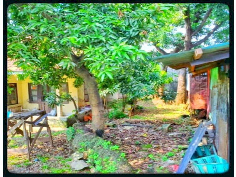 DIJUAL HARGAI NJOP DIJUAL MURAH TANAH DAN RUMAH DI Pasar Minggu Raya