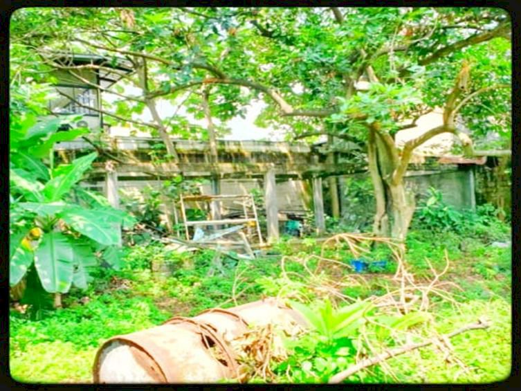DIJUAL HARGAI NJOP DIJUAL MURAH TANAH DAN RUMAH DI Pasar Minggu Raya