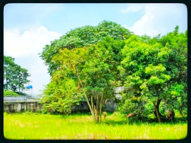 DIJUAL HARGAI NJOP DIJUAL MURAH TANAH DAN RUMAH DI Pasar Minggu Raya