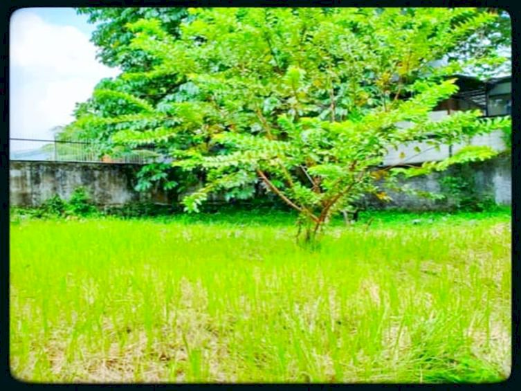 DIJUAL HARGAI NJOP DIJUAL MURAH TANAH DAN RUMAH DI Pasar Minggu Raya