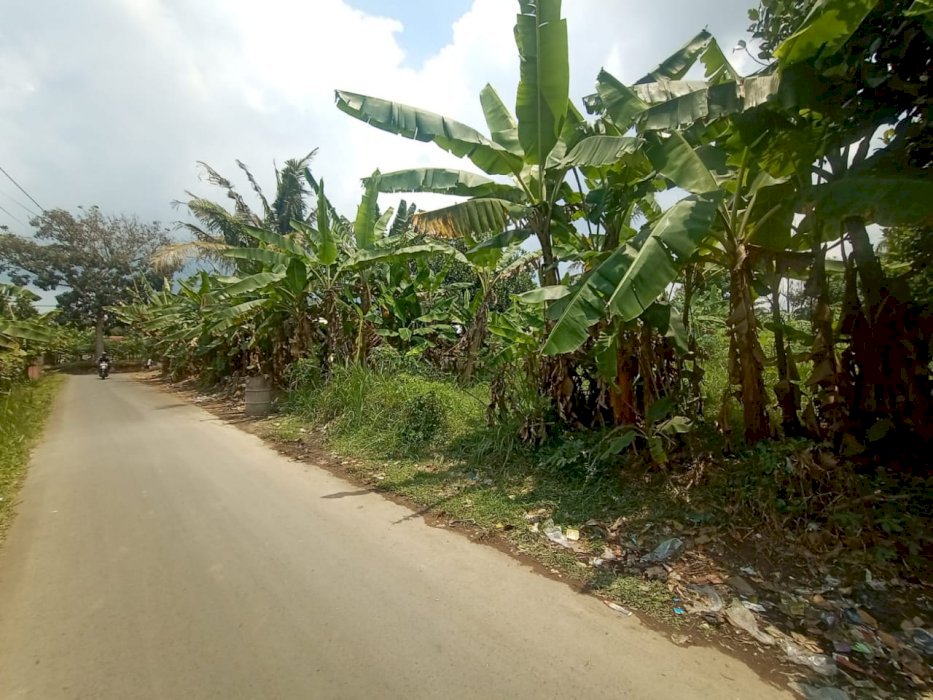 Tanah pinggir jalan luas 53 bata