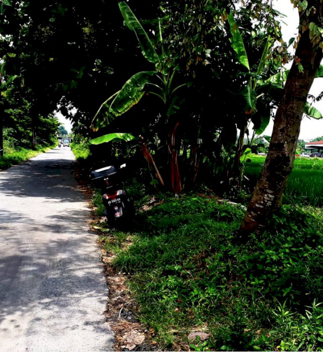 DI JUAL TANAH PEKARANGAN, SLEMAN YOGYAKARTA