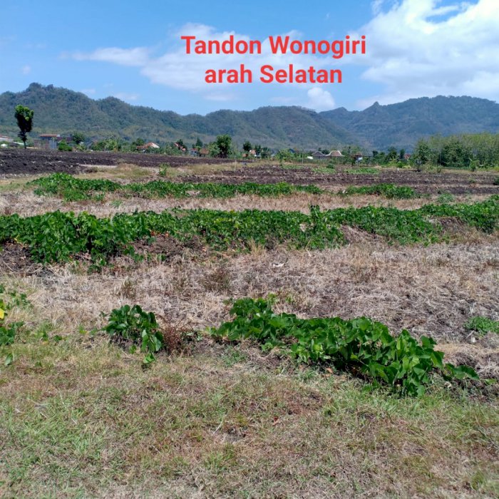 JUAL TANAH PEKARANGAN SHM
