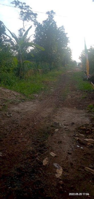 Di jual tanah pekarangan ukuran 15x50 pinggir jalan raya