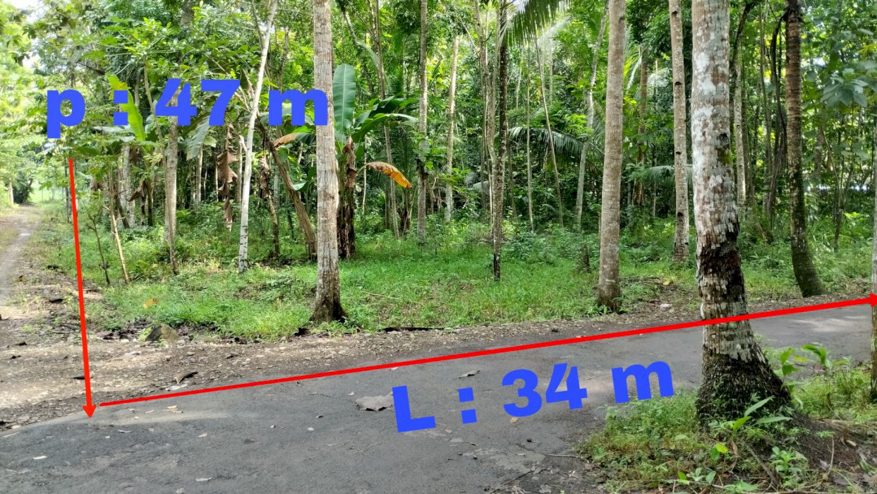 Tanah pekarangan strategis di dekat bandara NYIA