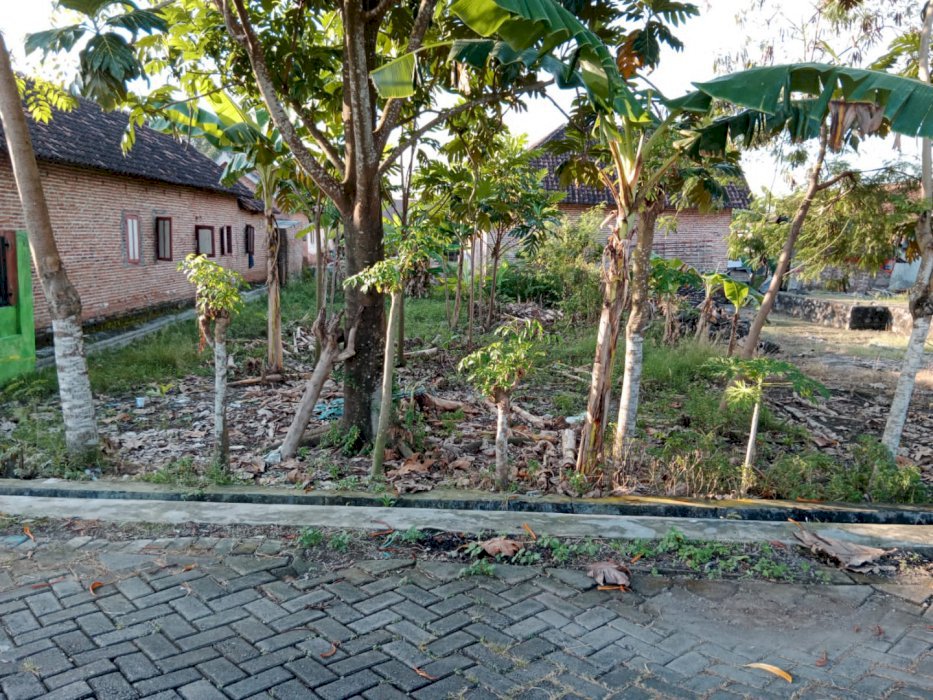 Tanah murah siap bangun