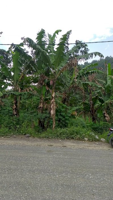 DIJUAL TANAH UNTUK INDUSTRI