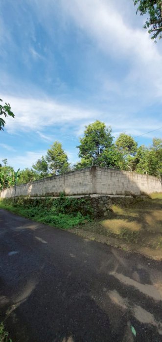 Di Jual tanah Kebun Durian MUSANGKING, OCHEE  di Pasuruan Jawa Timur