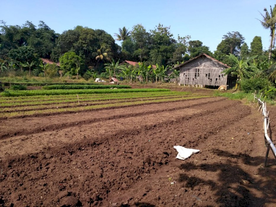 Tanah Untuk Perumahan Pondok Rajeg Cibinong