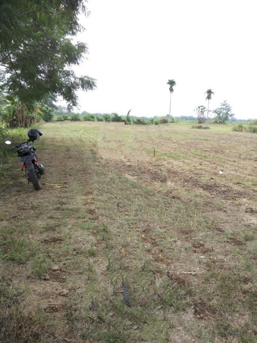 Dijual Tanah cepat & murah