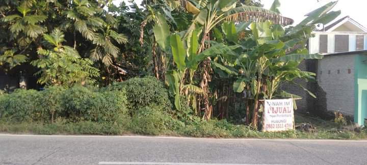 Jual tanah  pingir jalan raya