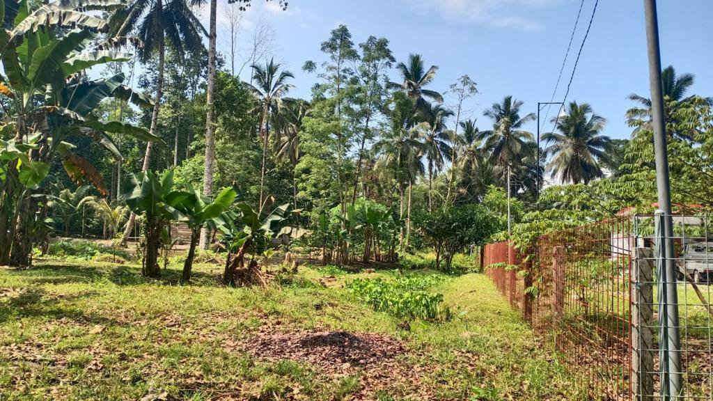 Dijual Tanah di minahasa utara ( ada mata air yang cukup besar)