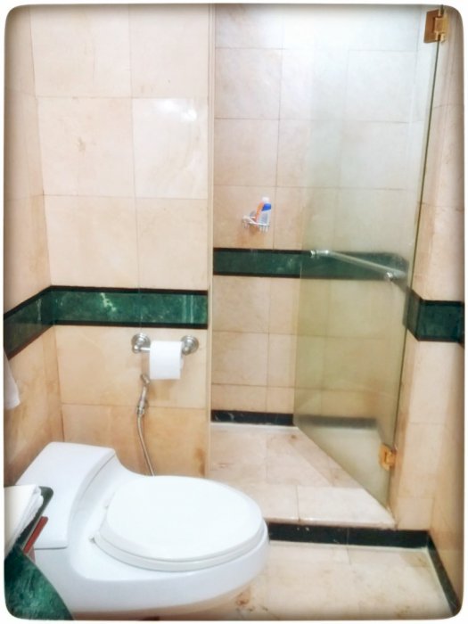 Dijual Cepat 3+1BR Furnish Pool dan City View di Somerset Grand Citra
