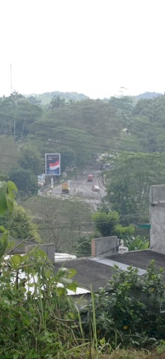 Tanah pinggir jalan raya propinsi