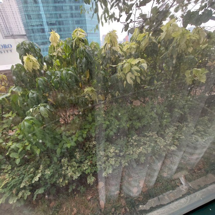 Taman Anggrek Condominium Dijual Termurah 2+1BR Lantai Rendah