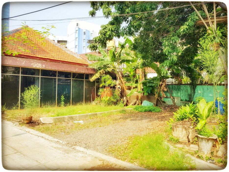 DIJUAL TANAH TERMURAH DIBAWAH NJOP BONUS Rumah tua Jl. Johar, Menteng