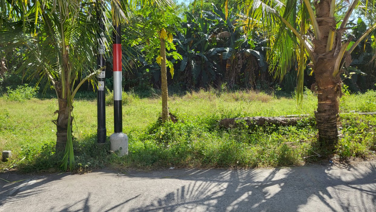 Tanah Murah Yogyakarta di belakang Perum Purwomartani