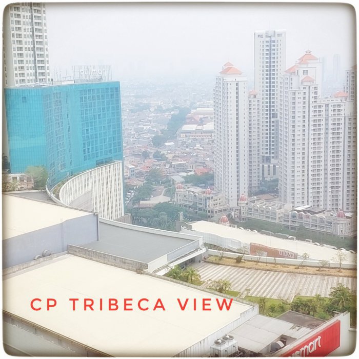 Taman Anggrek Condominium Dijual Unit Renov 2+1BR Tribecca View
