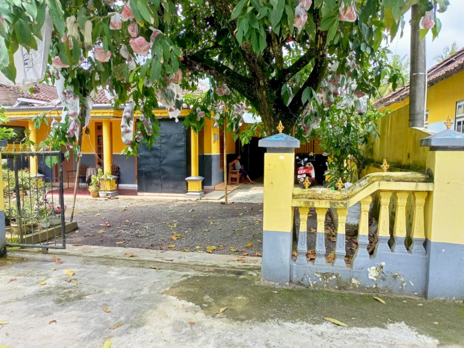Rumah milik pribadi