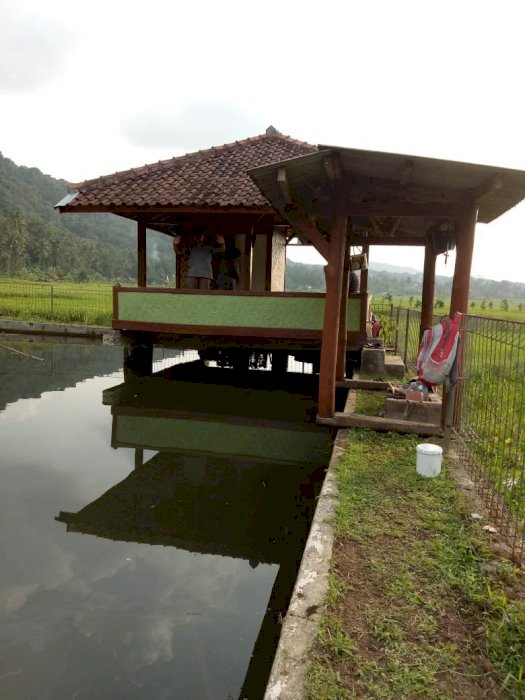 Dijual Tanah / Lahan / Kolam / Balong yang dilengkap dengan Saung