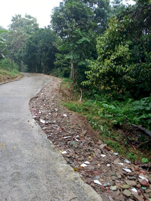Dijual tanah berisi kebun duren manggis kokosan