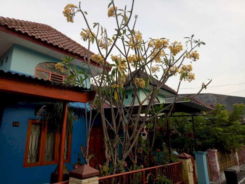 Perumahan cluster di Kartasura