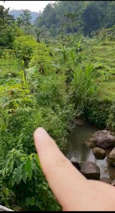 TANAH  JUAL MURAH BOGOR