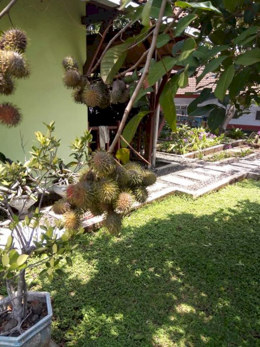 Rumah kampung dua lantai artisik SHM