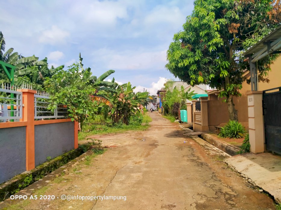 Dijual Tanah Murah di Kedaton Kampung Baru Unila