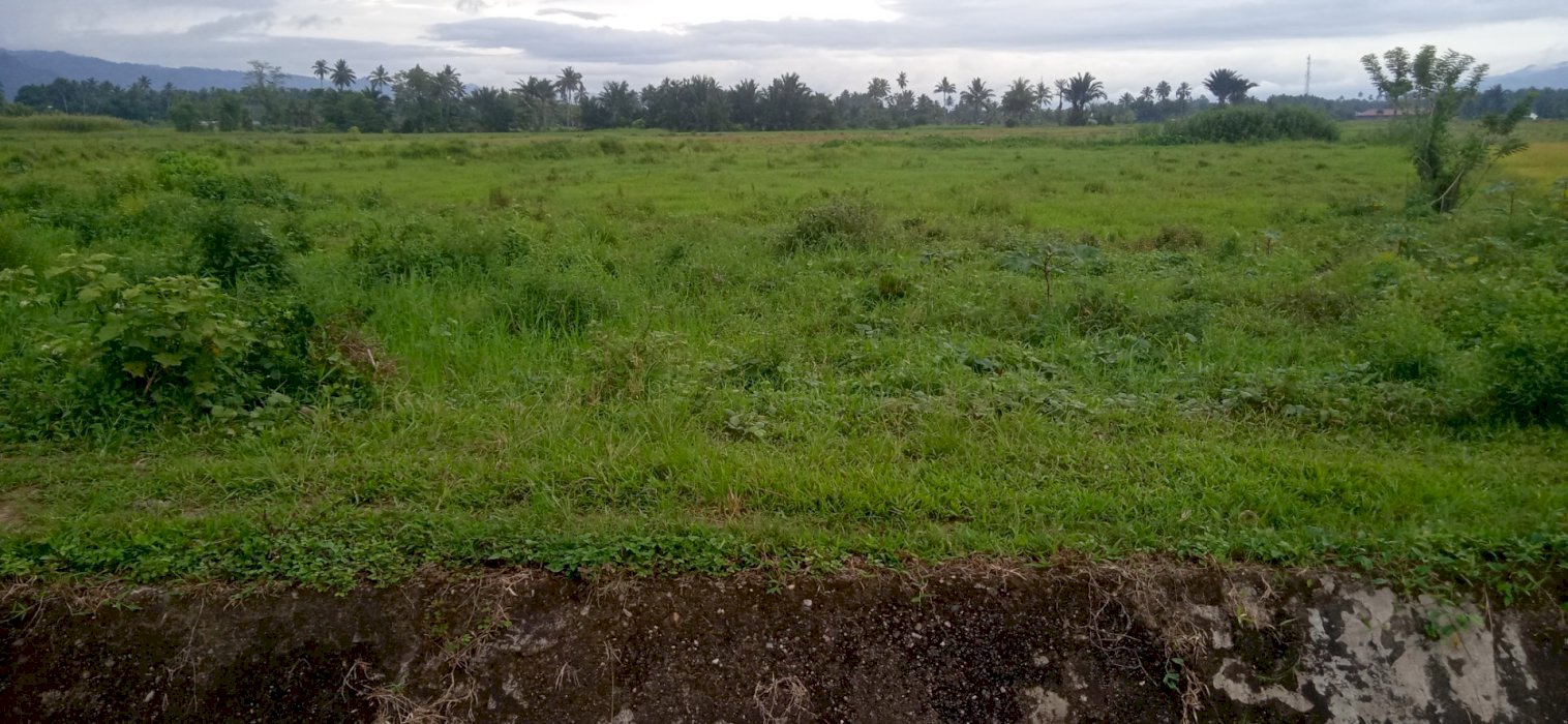 Lahan Dipinggir Jln Aspal  dekat area Sementara Bangun RS.Daerah