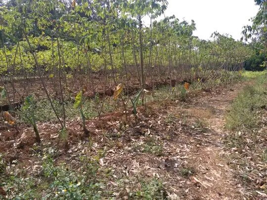 Dijual Kavling siap bangun depan SOOR Langsung
