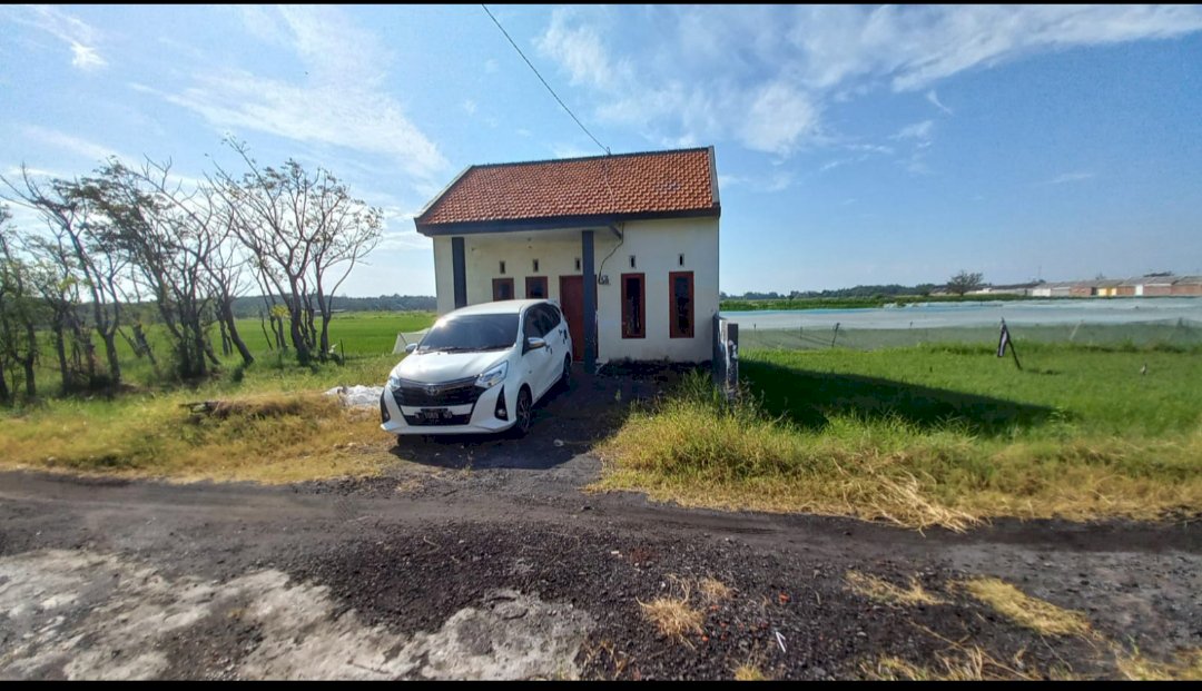 DI JUAL RUMAH MINIMALIS SIAP HUNI DI DRINGU PROBOLINGGO JAWA TIMUR