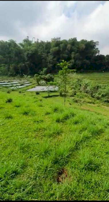 TANAH  MURAH DIBOGOR