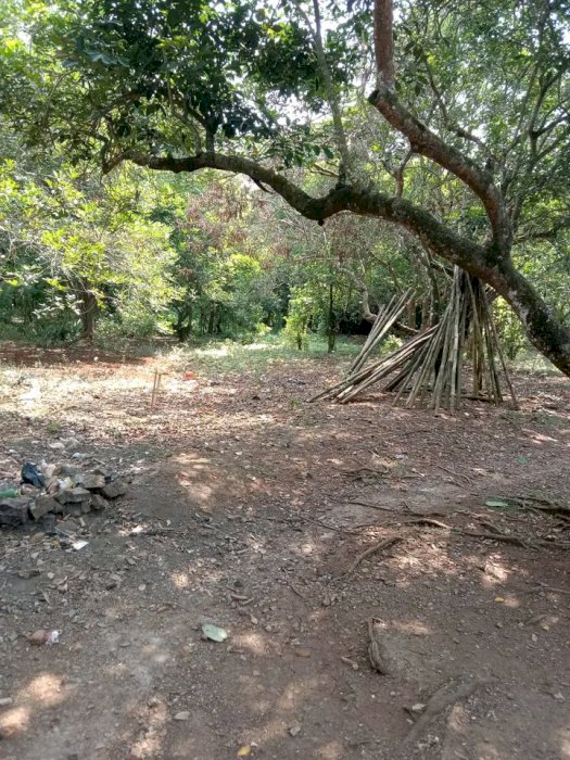 Bissmillah jual tanah darat bukan kapling