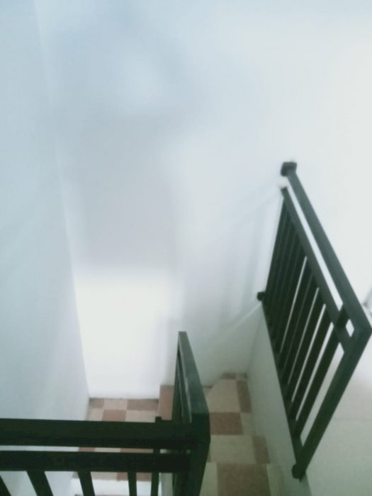 Rumah minimalis terlaris di Depok