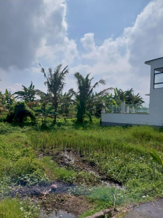 Dijual tanah murah ðŸ’¯ jt Kaba kaba BALI dekat dengan Canggu