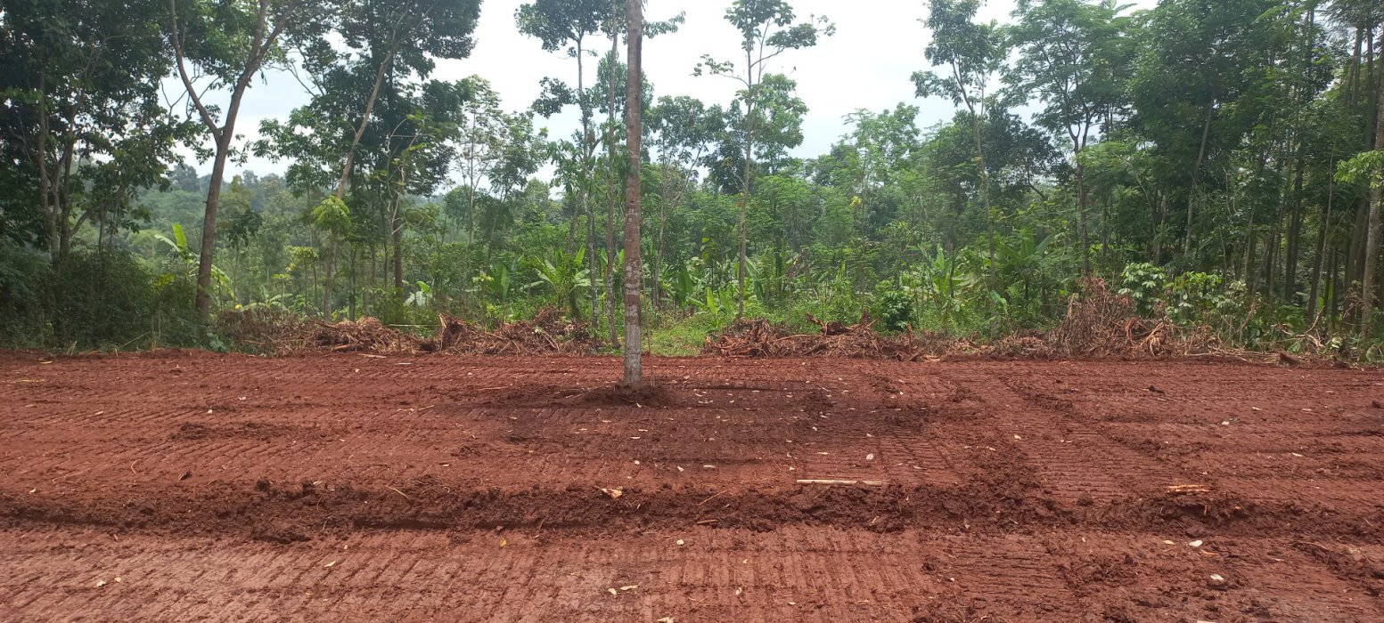 Tanah Kavling Murah Jatirejo Gunungpati