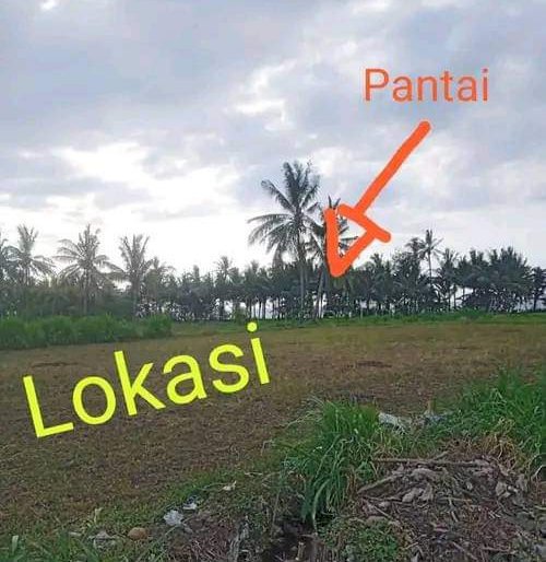 Dijual Tanah sawah total Luas 1 Hektare