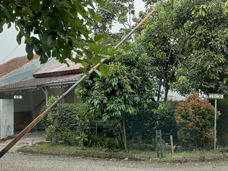 Dijual Cepat Rumah Asri Posisi Hook,Strategis Dekat Kampus IPB Dramaga