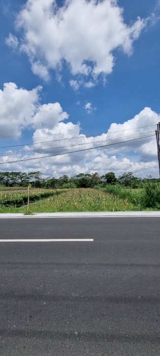 Tanah murah di jalan kabupaten sleman