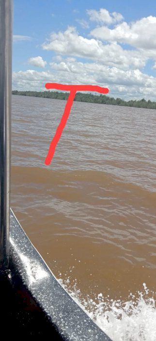 Tanah murah 60 hektar