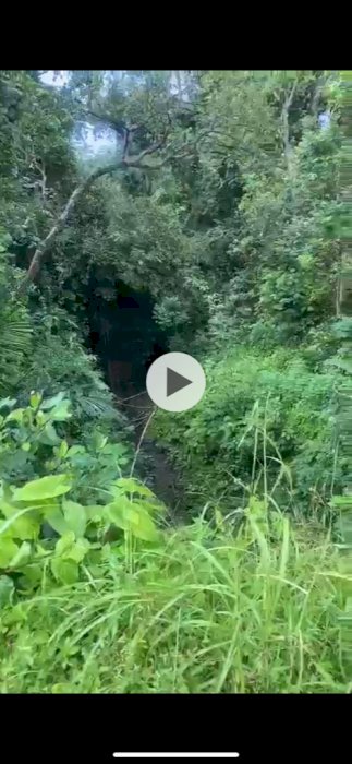Yg mau investasi tanah di bali yaitu tepat nya di kawasan ubud sayan