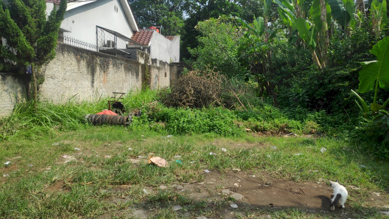 Jual Tanah Kosong ( Jual cepat dan Sangat Butuh )