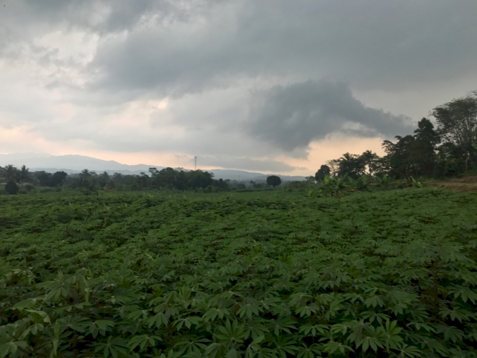 JUAL TANAH DAERAH PAMIJAHAN BOGOR JAWA BARAT